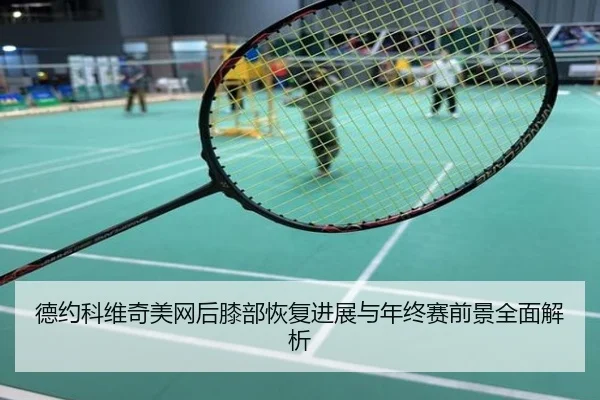 德约科维奇美网后膝部恢复进展与年终赛前景全面解析