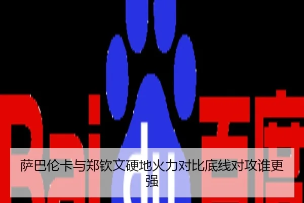 萨巴伦卡与郑钦文硬地火力对比底线对攻谁更强